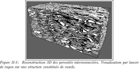 \begin{figure}
\centerline {\fbox{\epsfxsize=9.8cm \epsfbox{cea3dip.eps}}}{\it F...
...sation
par lancer de rayon sur une structure constitue de voxels.}
\end{figure}