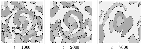 \begin{figure}
\centerline {
\begin{tabular}{ccc}
\fbox{\epsfxsize=3.8cm \epsfbo...
...box{ms3vor3g.eps}}\\
$t=1000$\ & $t=2000$\ & $t=7000$\end{tabular}}\end{figure}