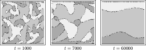 \begin{figure}
\centerline {
\begin{tabular}{ccc}
\fbox{\epsfxsize=3.8cm \epsfbo...
...ox{ms3fl103.eps}}\\
$t=1000$\ & $t=7000$\ & $t=60000$\end{tabular}}\end{figure}