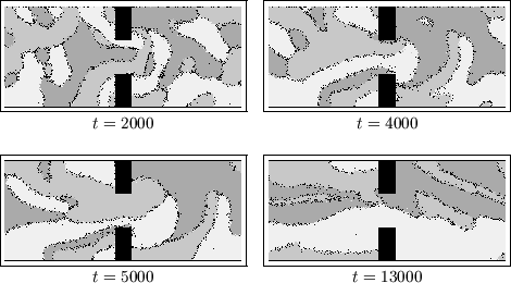 \begin{figure}
\centerline {
\begin{tabular}{cc}
\fbox{\epsfxsize=5.9cm \epsfbox...
...5.9cm
\epsfbox{ms3fl204.eps}}\\
$t=5000$\ & $t=13000$\end{tabular}}\end{figure}