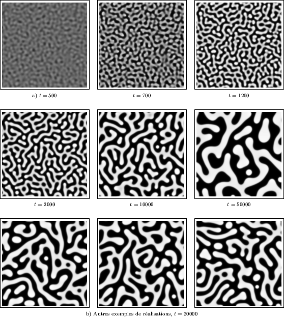 \begin{figure}
\centerline {\begin{tabular}{ccc}
\fbox{\epsfxsize=4.5cm \epsfbox...
...size b) Autres exemples de ralisations, $t = 20000$}
\end{tabular}}\end{figure}