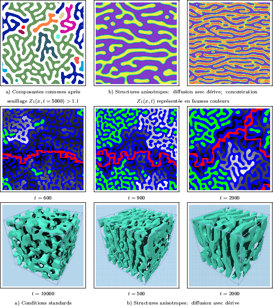 \begin{figure}
\centerline {\begin{tabular}{ccc}
\fbox{\epsfxsize=4.5cm \epsfbox...
... b) Structures anisotropes: diffusion avec drive}\\
\end{tabular}}\end{figure}