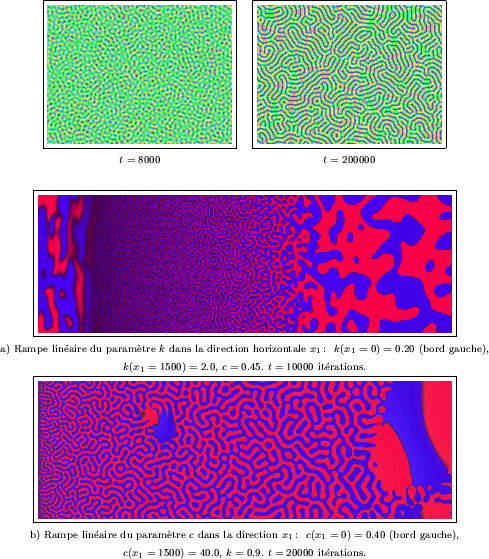 \begin{figure}
\centerline {\begin{tabular}{cc}
\fbox{\epsfxsize=5cm \epsfbox{ma...
...= 1500) = 40.0$, $k=0.9$. $t = 20000$\ itrations.\\
\end{tabular}}\end{figure}