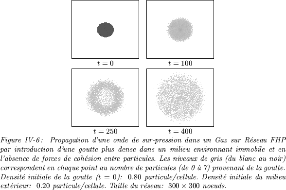 \begin{figure}
\centerline {\begin{tabular}{cc}
\fbox{\epsfxsize=3.5cm \epsfysiz...
...\ particule/cellule. Taille du r\'eseau: $300 \times 300$\ noeuds.}
\end{figure}